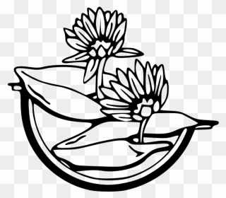 Leland Mcinnes Water Lily Svg Clip Arts - Water Lily Clip Art - Png Download