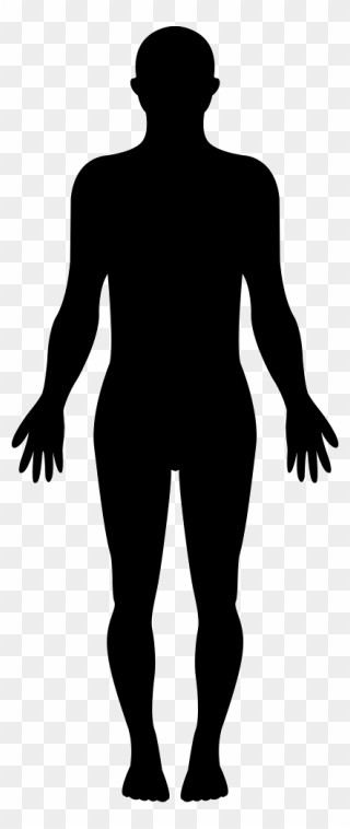 Humans Clipart Whole Body, Humans Whole Body Transparent - Female Silhouette - Png Download