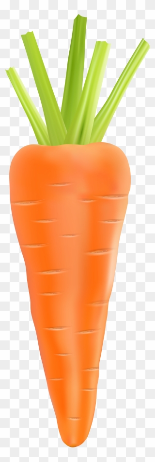 Clipart Vegetables Carrot, Clipart Vegetables Carrot - Transparent Background Bunch Carrots Clipart - Png Download