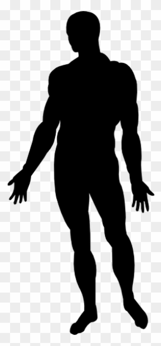 Human Body Silhouette Homo Sapiens Photography - Human Body Silhouette Png Clipart
