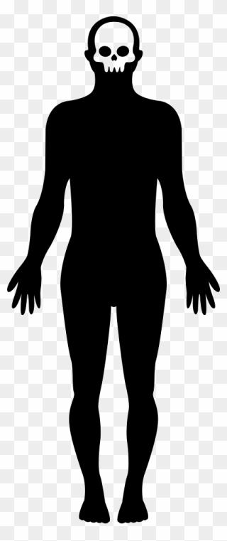 Body Shape Svg Png - Silueta Del Cuerpo Humano Clipart