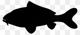 Marine Mammal Black & White - Clip Art - Png Download