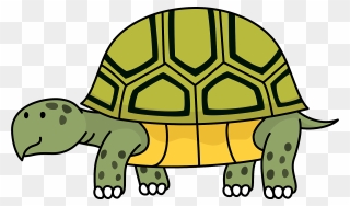 Tortoise Images Clip Art - Png Download