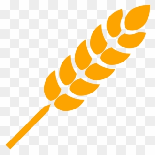 Wheat Png Image - Transparent Background Wheat Png Clipart