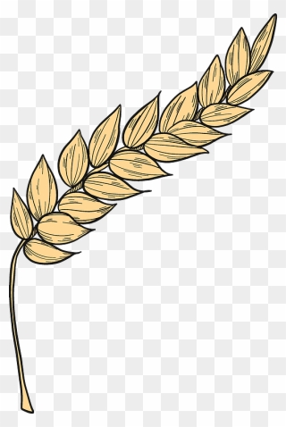 Wheat Clipart - Png Download