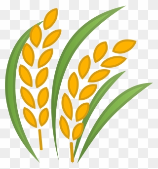 Wheat Clipart Svg - Transparent Rice Icon - Png Download