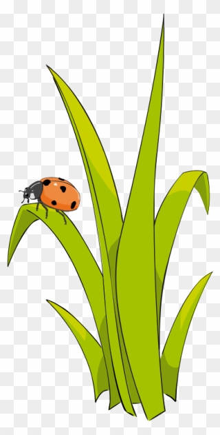 Cute Grass Clipart - Png Download