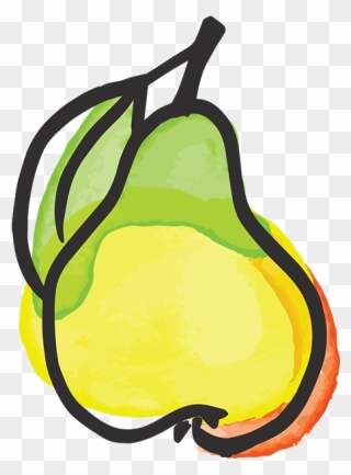 Fruits Clipart Pear - Pear Illustration - Png Download