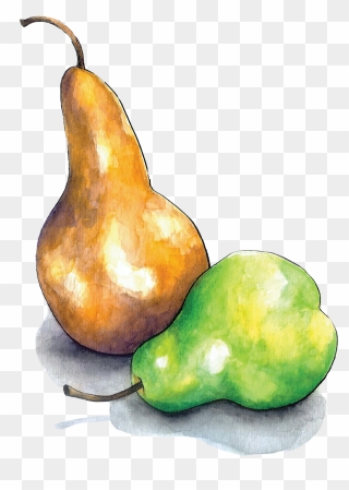 Drawn Pear Nashpati - Pear Dots Drawing Clipart