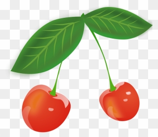 Cherries - Cherry Leaves Clipart - Png Download
