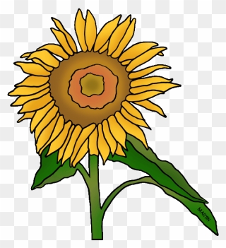 Sunflower Clipart Kansas - Clip Art - Png Download