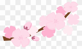 Cherry Blossom Clip Art - Cherry Blossoms Cartoon Background - Png Download