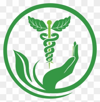 Naturopathy Services Health Medicine Herbalism Pharmacy - Herbal Medicine Logo Png Clipart