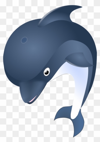 Dolphins Image No Background Clipart
