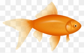 Goldfish Clipart Cheddar - Goldfish Clipart - Png Download