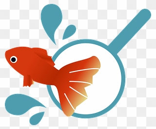 Goldfish Scooping Clipart - Png Download