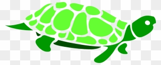 Green Sea Turtle Clip Art - Transparent Background Graphic Turtle Clip Art - Png Download