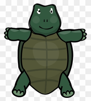 Cute Turtle Clipart - Cartoon - Png Download