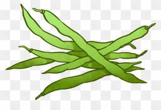 Green Beans On Plate Png - Green Beans Clipart Transparent Png