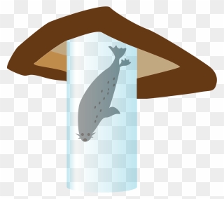 Spotted Seal Animal Clipart - Whale - Png Download