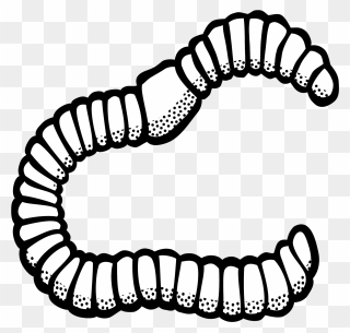 Clipart Worm Lineart - Worm Black And White Clipart - Png Download