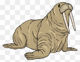 Walrus Clipart Swimming - Free Walrus Clipart - Png Download