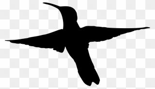 Duck,silhouette,neck - Black Hummingbird Flying Clipart - Png Download