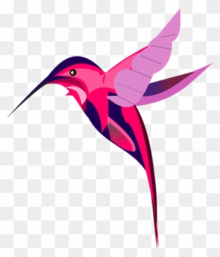 Pink Hummingbird Clipart - Clip Art Hummingbird Cartoon - Png Download