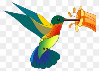 Hummingbird Clipart - Ruby-throated Hummingbird - Png Download