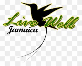 Jamaican Drawing Hummingbird - Graphic Design Clipart