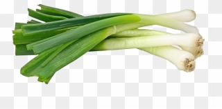 Onion Clipart Spring Onion, Onion Spring Onion Transparent - Transparent Green Onion Png