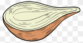 Half Onion Clipart - Png Download