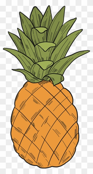 Pineapple Clipart - Pineapple - Png Download