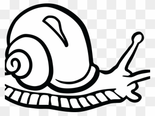 Pond Snail Clipart Black And White , Transparent Cartoon - Transparent Background Snail Clipart - Png Download
