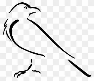 Crow Clipart Download - Crow Drawing Outline - Png Download