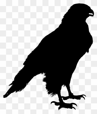 Common Raven Clip Art Silhouette Crow Drawing - Png Download