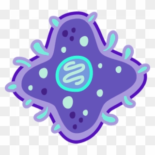 Bacterias Png Clipart