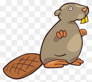 Download And Use Beaver Transparent Png File - Бобёр Клип Арт Clipart