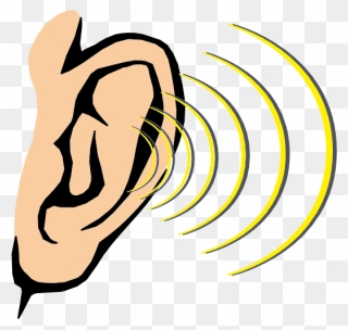 Ears Clipart Different Body Part - Sense Of Hearing Clipart - Png Download