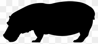 Image File Formats Lossless Compression - Black Hippo Clipart - Png Download