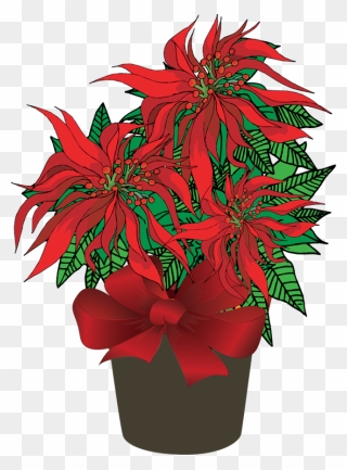 Forgetmenot In Pots - Poinsettia Clipart - Png Download