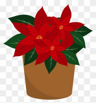 Poinsettia Flower Clipart - Png Download