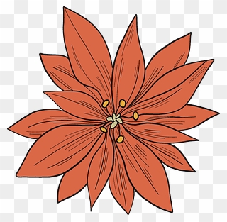 Poinsettia Clipart - Black-eyed Susan - Png Download