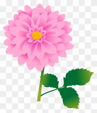 Dahlia Flower Clipart - ダリア の 花 イラスト - Png Download