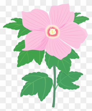 Hibiscus Syriacus Flower Clipart - Hawaiian Hibiscus - Png Download