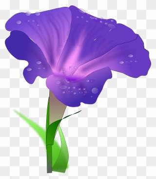Morning Glory Flower Clipart - Png Download