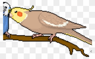 Bird Pixel Art Grid Clipart
