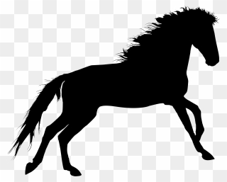 Horse Portable Network Graphics Clip Art Silhouette - Horse Shadow - Png Download