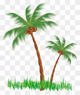 Coconut Clipart Tree - Coconut Tree Clipart Png Transparent Png