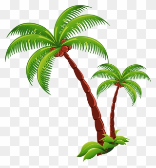 Coconut Tree Clipart Real - Coconut Tree Png Transparent Png (#4920280 ...